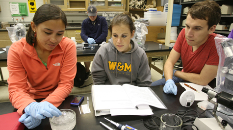 A new grant from HHMI